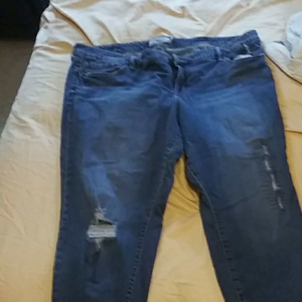 Torrid Jeans